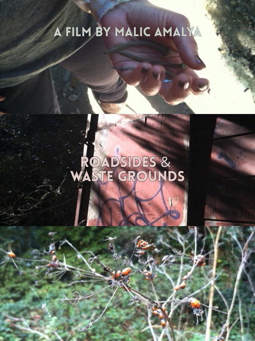 Movie poster for Roadsides and Waste Grounds (2012)