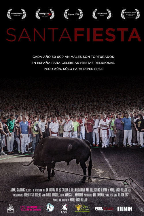 Movie poster for Santa Fiesta (2016)