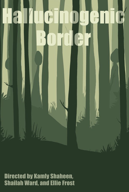 Movie poster for Hallucinogenic Border (2023)
