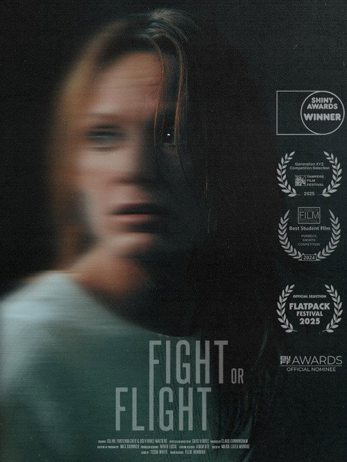 Movie poster for Fight or Flight (2024)