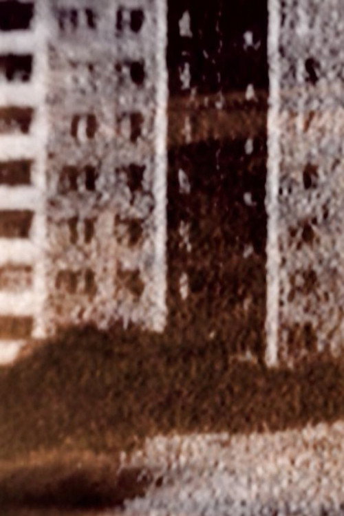 Movie poster for Volgograd — Of rust and mud (2021)