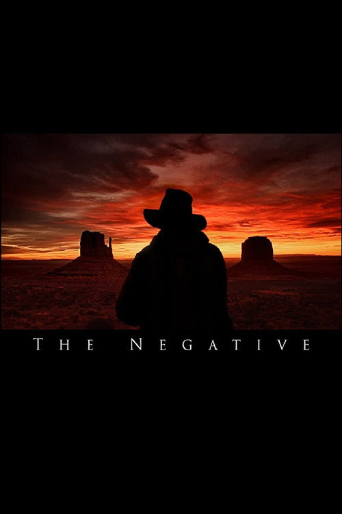 Movie poster for The Negative (2016)