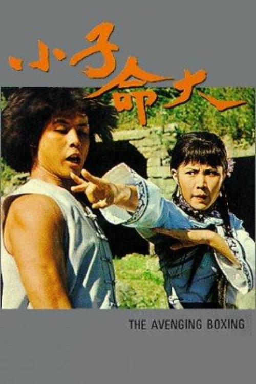 Movie poster for The Fearless Young Boxer (1979)