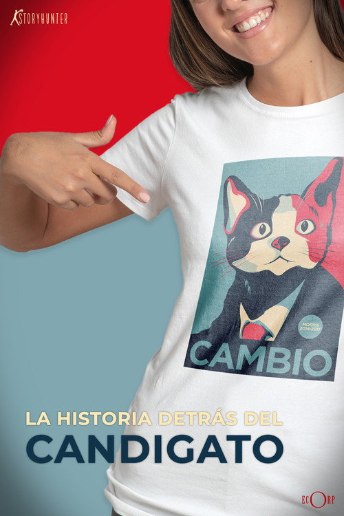 Movie poster for Along Came a Catdidate (2013)