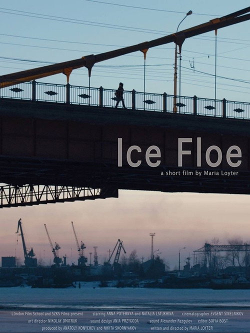 Movie poster for Ice Floe (2014)