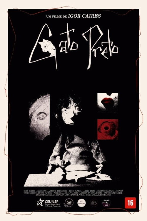 Movie poster for Gato Preto (2025)
