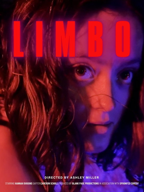 Movie poster for LIMBO (2024)