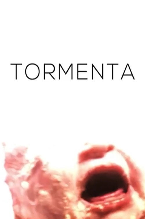 Movie poster for Storm (2021)