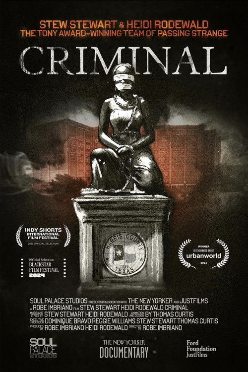 Movie poster for Criminal (2024)