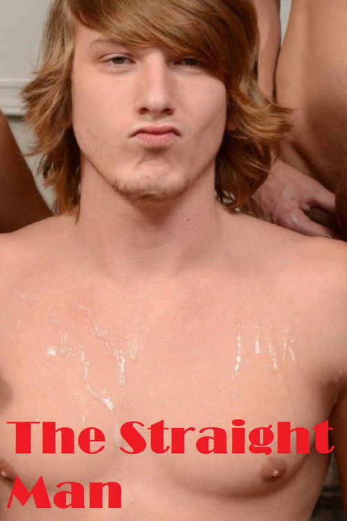 Movie poster for The Straight Man (2015)