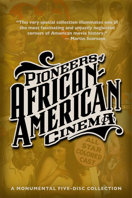 Movie poster for Pioneers of African-American Cinema: The End of an Era (2016)