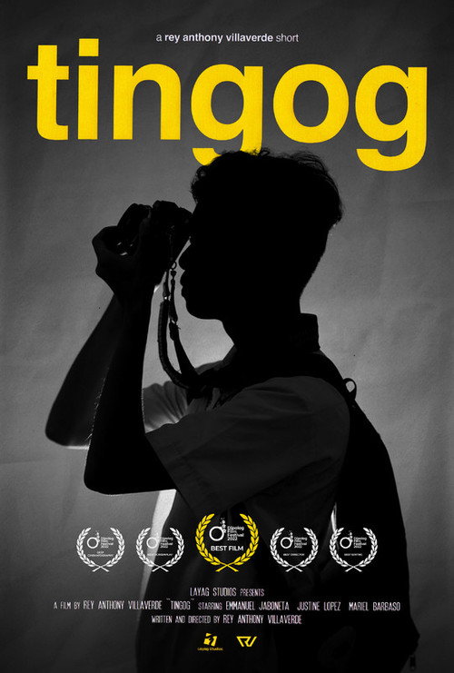 Movie poster for Voice (2022)