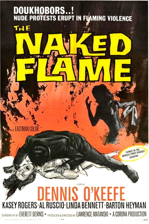 Movie poster for The Naked Flame (1964)