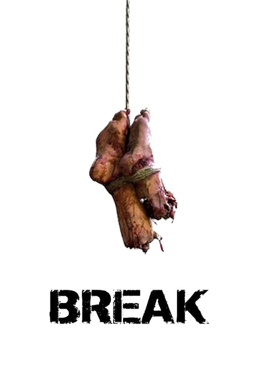 Movie poster for Break (2009)