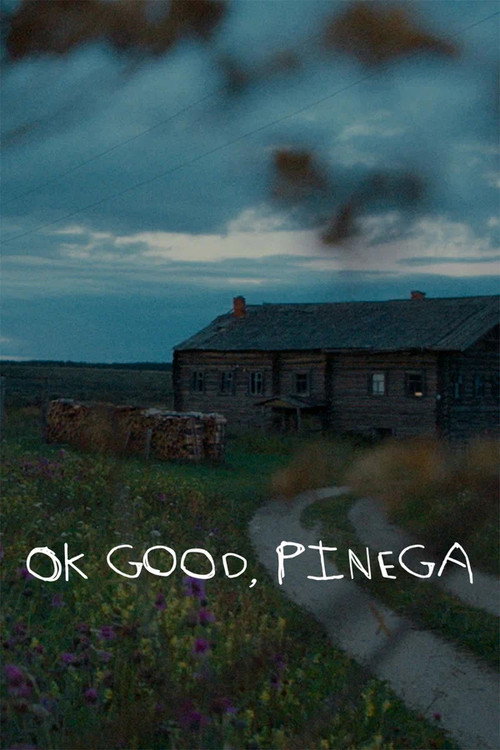 Movie poster for Ok good, Pinega (2021)