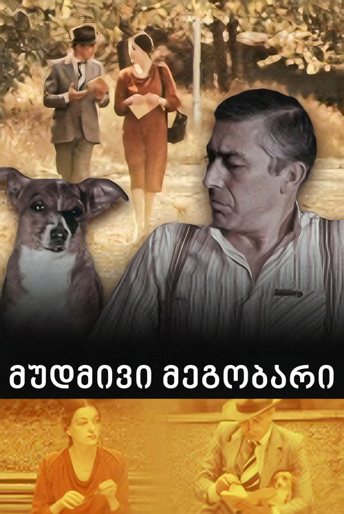Movie poster for Till Next Time, Friend... (1980)