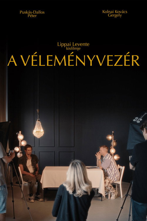 Movie poster for The Influencer