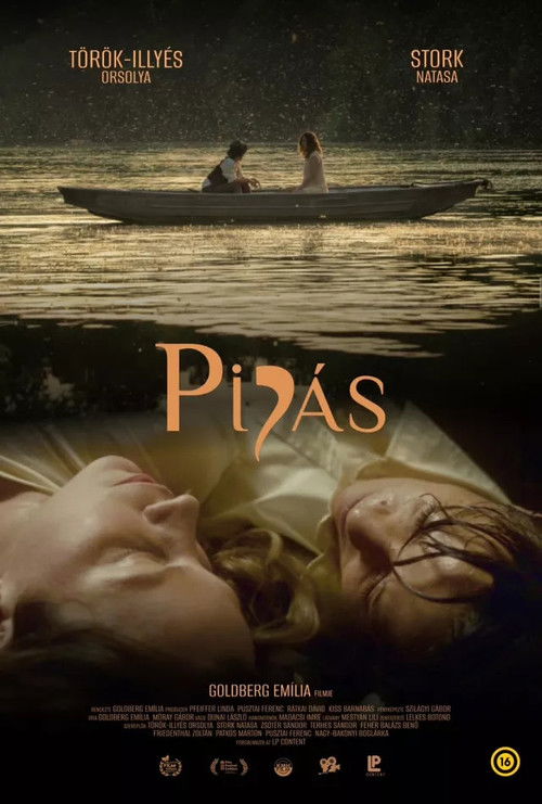 Movie poster for Mayflies (2026)