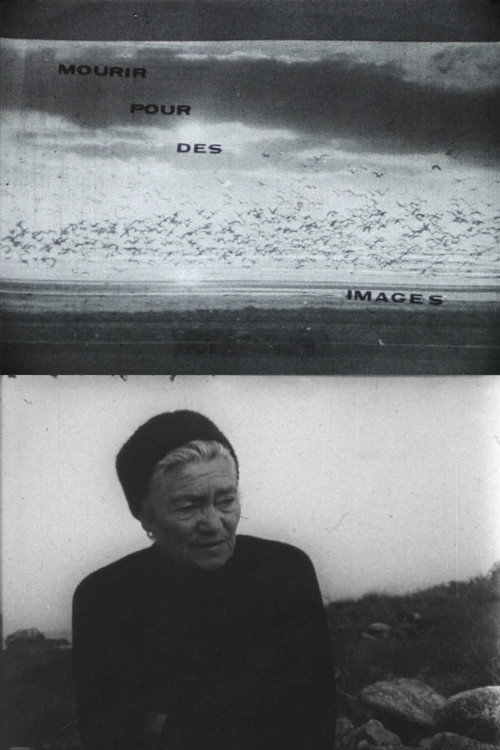 Movie poster for Mourir pour des images (1971)