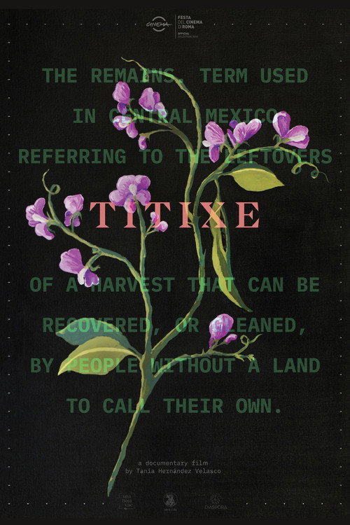 Movie poster for Titixe (2018)