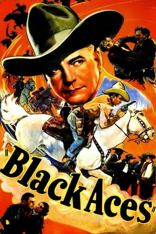 Movie poster for Black Aces (1937)