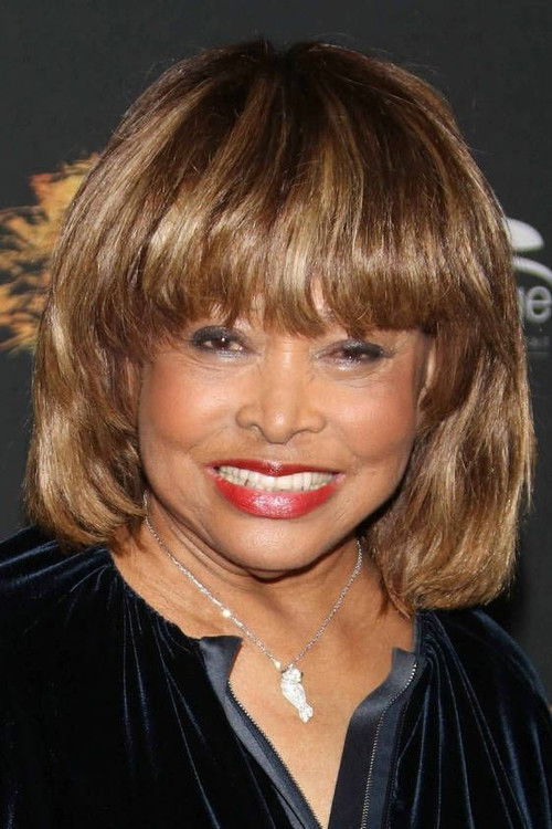 Tina Turner profile
