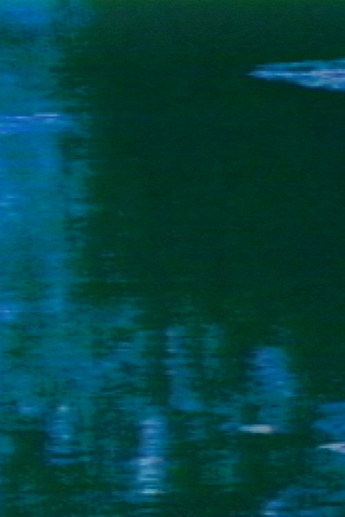 Movie poster for Monet Garden Synthesized (1989)