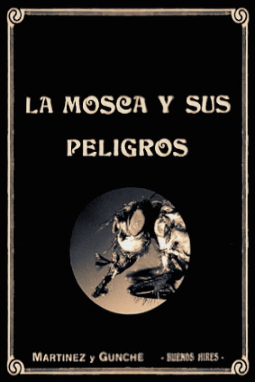 Movie poster for The Dangers of the Fly (1920)