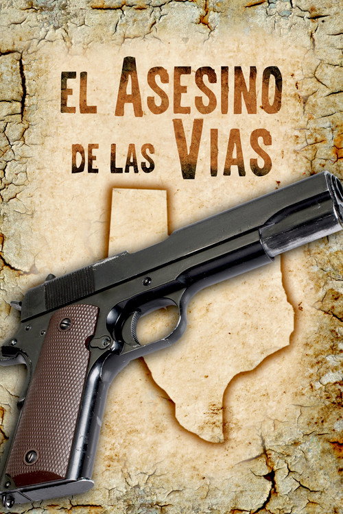 Movie poster for El asesino de las vías (2008)