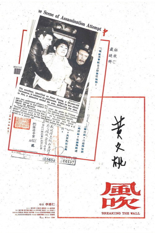 Movie poster for Breaking The Wall