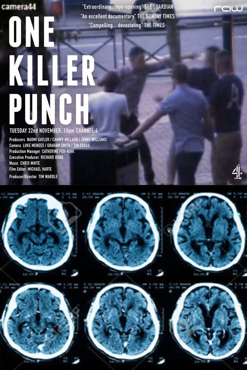Movie poster for One Killer Punch (2016)