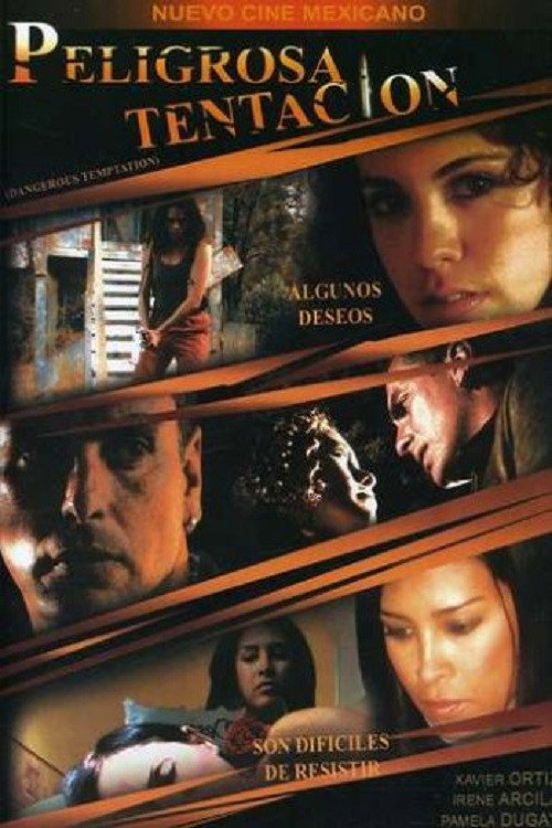 Movie poster for Peligrosa tentación (2008)