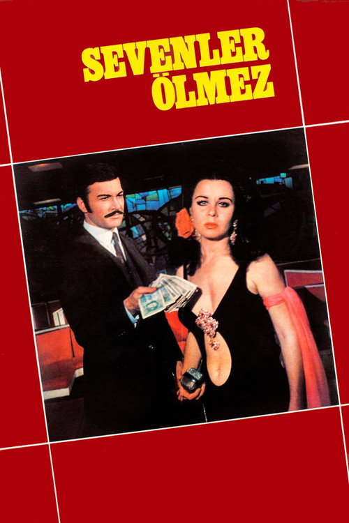 Movie poster for Sevenler Ölmez (1970)