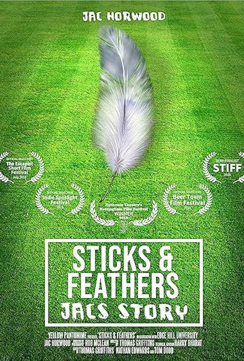 Movie poster for Sticks and Feathers