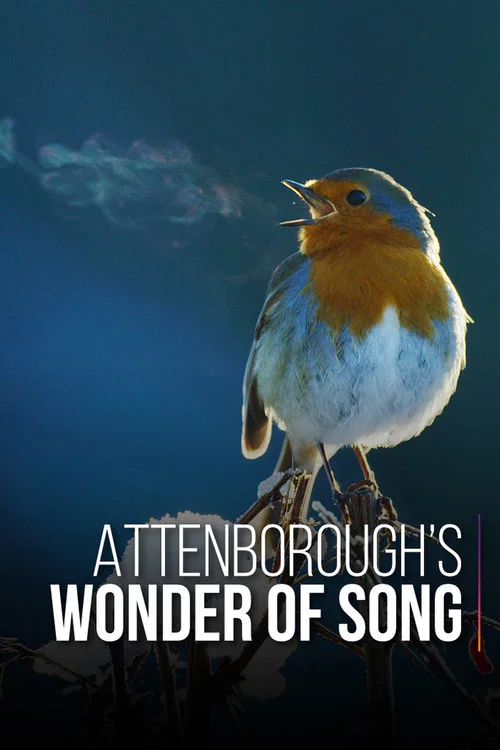 Movie poster for Attenborough's Wonder of Song (2022)