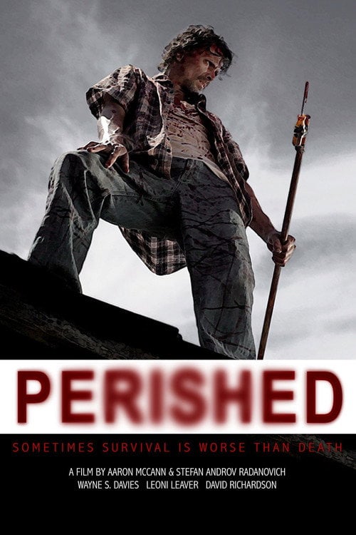 Movie poster for Perished (2011)