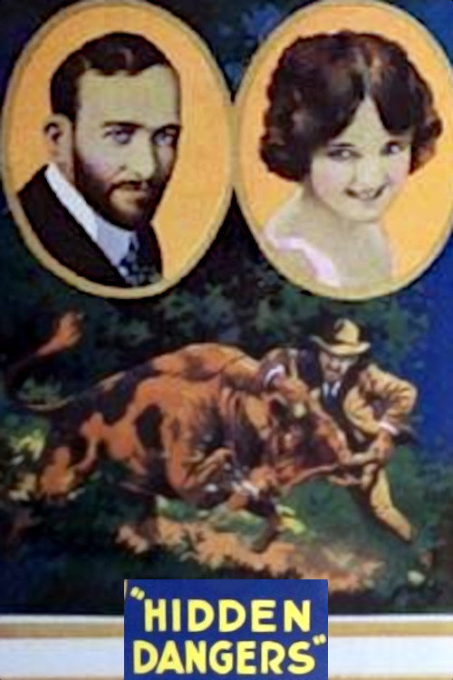 Movie poster for Hidden Dangers (1920)