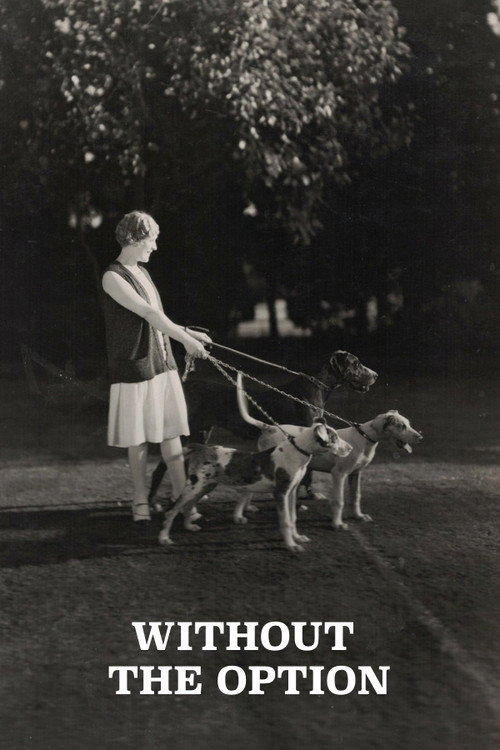 Movie poster for Without the Option (1926)