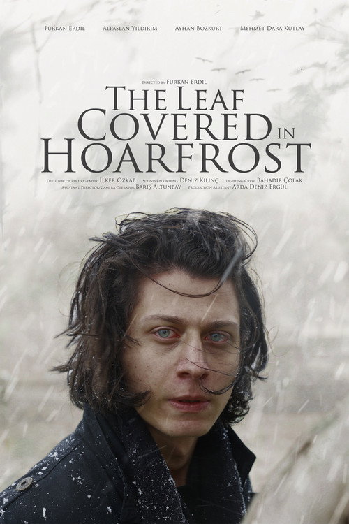 Movie poster for The Leaf Covered in Hoarfrost (2026)