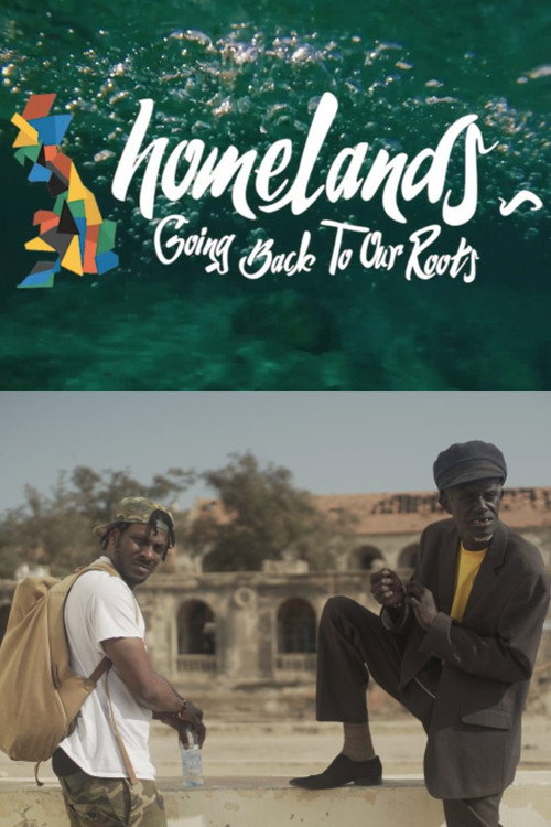 Movie poster for Homelands (2017)