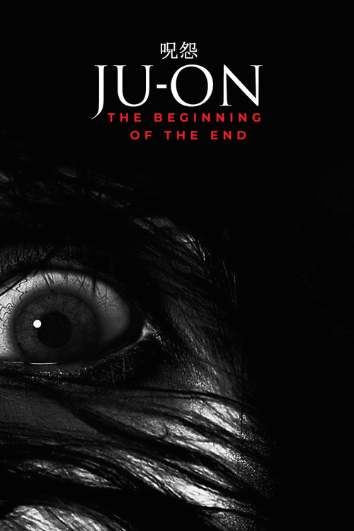Movie poster for Ju-on: The Beginning of the End (2014)