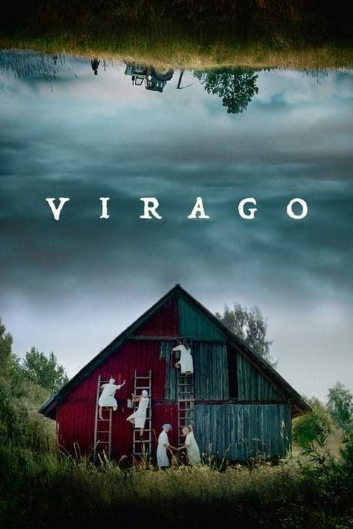 Movie poster for Virago (2019)