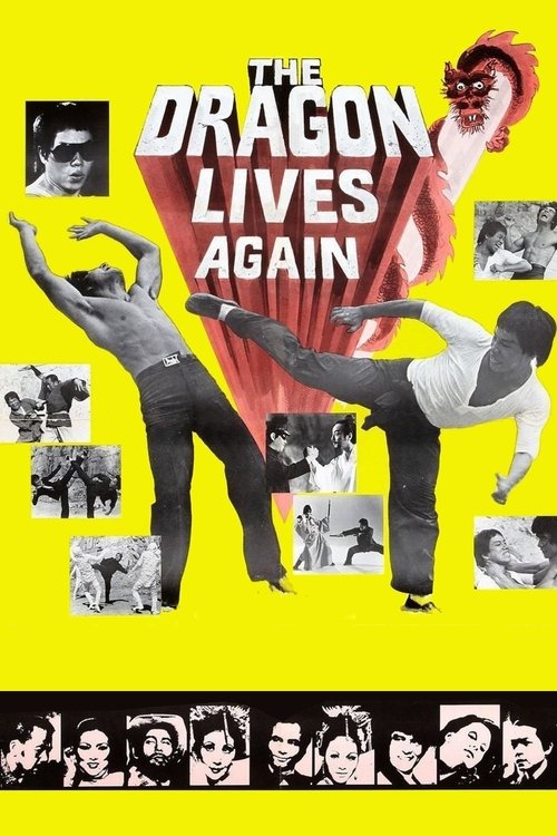 Movie poster for The Dragon Lives Again (1977)