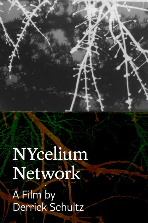 Movie poster for NYcelium Network (2024)