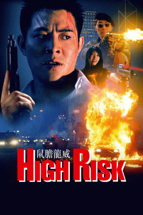 Movie poster for High Risk (1995)