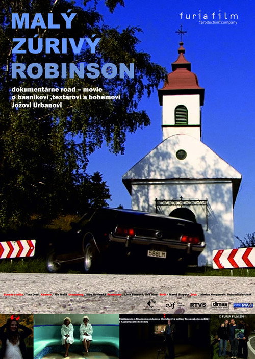 Movie poster for Little Mad Robinson (2011)