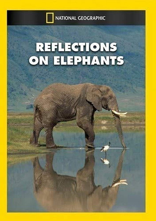 Movie poster for Reflections on Elephants (1994)