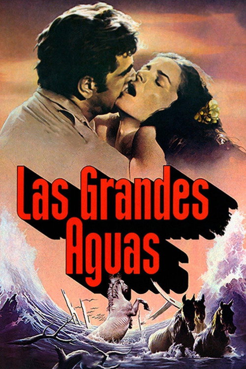 Movie poster for Las grandes aguas (1980)