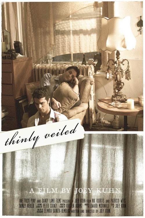 Movie poster for Thinly Veiled (2010)
