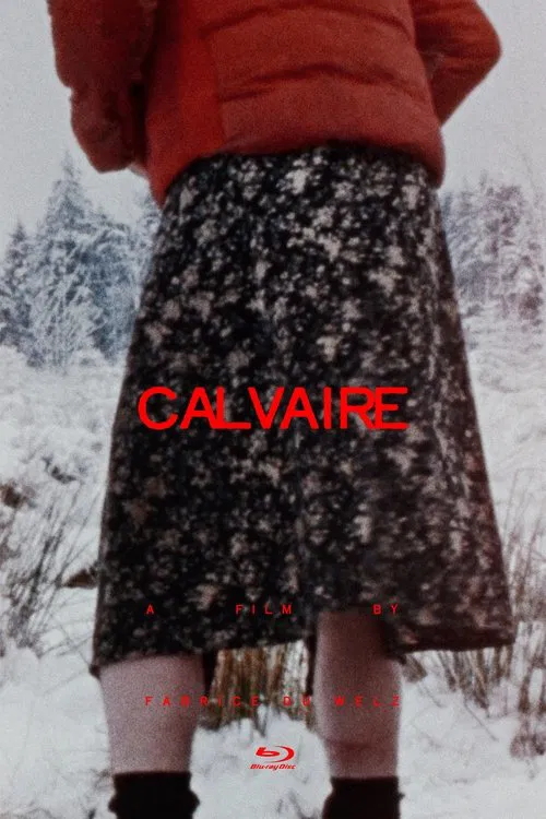 Movie poster for Calvaire (2005)